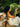 Woman seated in a tropical garden holding Mimane Glow hair oil while hands work through her hair