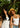 Two women with healthy hair, one with long dark lengths and one with curls, outdoors