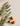 Jojoba Oil vs Argan Oil for Hair: Which One Fits Your Routine?