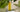 The Glow Finish — Hair Oil as Your Last Step | Mimane Glow