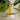 The Glow Finish — Hair Oil as Your Last Step | Mimane Glow