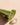 Cut aloe vera leaf with clear gel