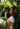 Woman with long dark curls in profile under a large green leaf holding Mimane Glow shampoo