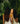 Two women in a tropical garden, one with long straight hair seen from behind, one with curls holding Mimane Glow hair oil