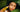 Woman under a palm leaf holding Mimane Glow Growth and Strengthen Hair Oil