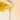 Do Hair Growth Oils Actually Work? An Honest Answer