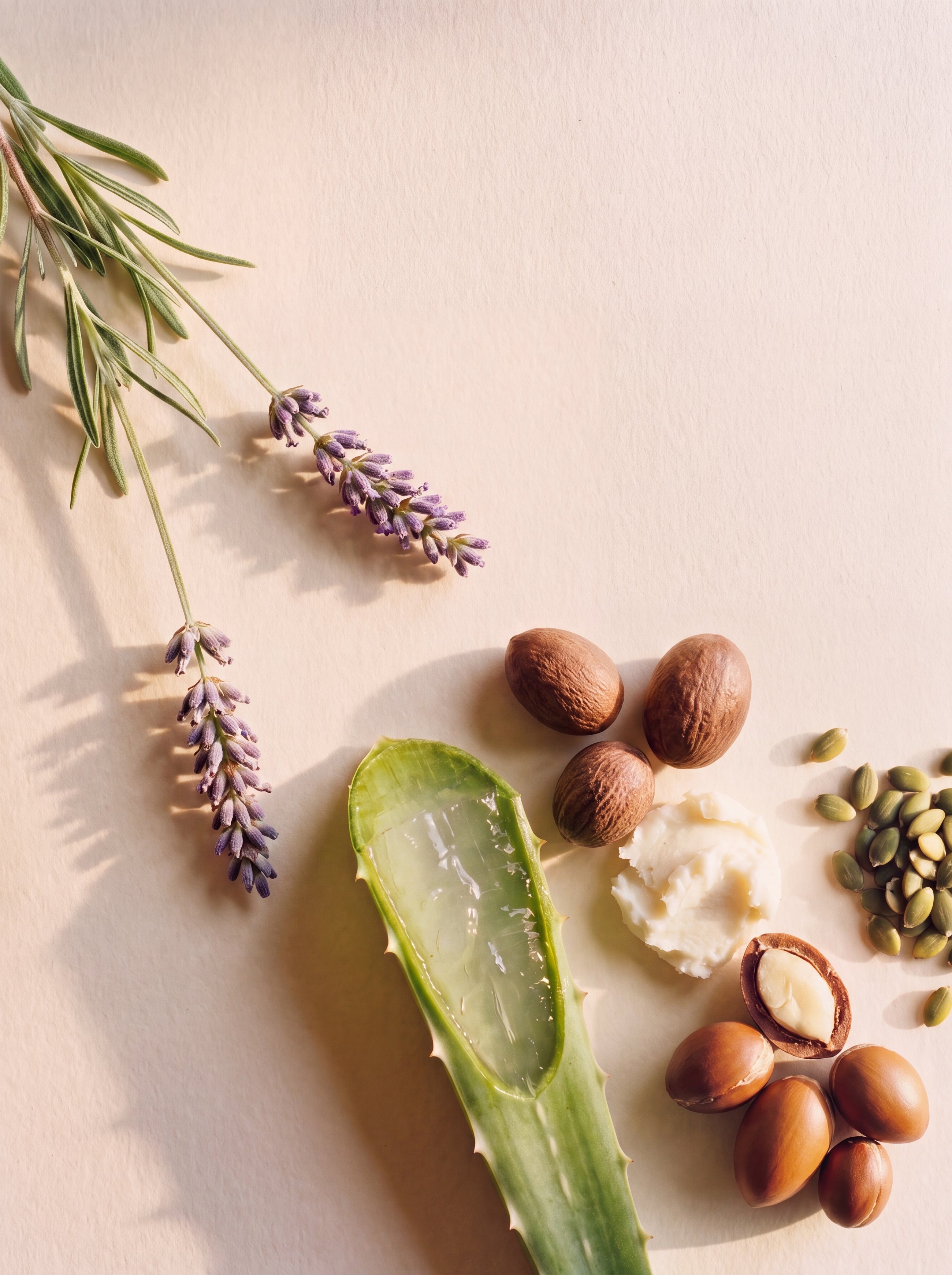 Nourish & Strengthen Conditioner key ingredients: aloe vera, shea butter, argan, pumpkin seed and lavender