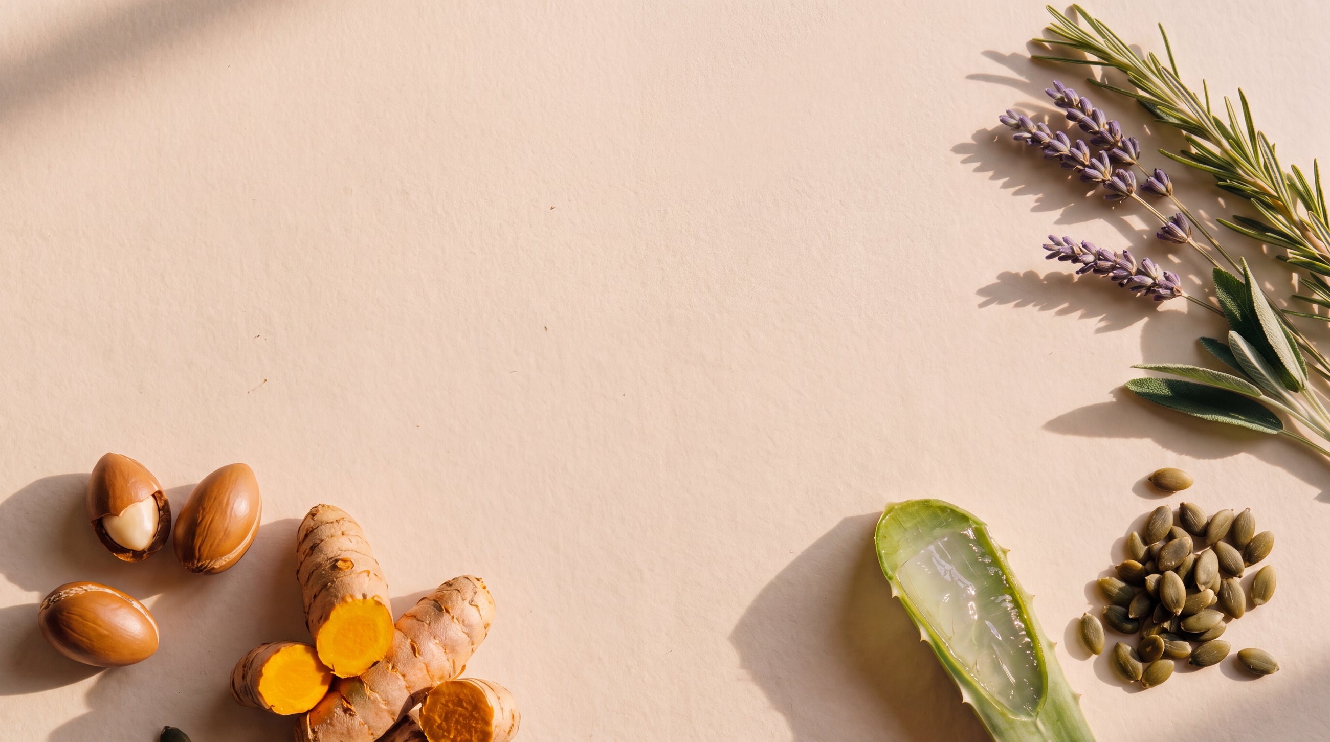 Glow Kit key ingredients: argan nuts, turmeric, aloe vera, pumpkin seeds, rosemary and lavender on warm cream paper
