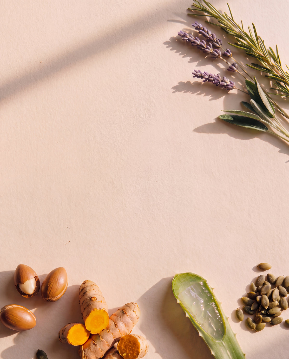 Glow Kit key ingredients, tall mobile crop: argan nuts, turmeric, aloe vera, pumpkin seeds, rosemary and lavender on warm cream paper