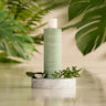 Nourish and Strengthen Shampoo by Mimane Glow — sulfate-free shampoo with aloe vera and silk protein