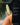 How to use the conditioner: squeeze out the water, coat mid-lengths to ends, give it two minutes, then rinse clear