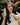 How to use the shampoo: massage it in at the scalp, let the lather travel, rinse it clear, then follow with conditioner